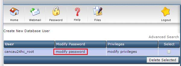 Hướng dẫn đổi mật khẩu Database trong Direct Admin - Modify Database Password 4 modify password