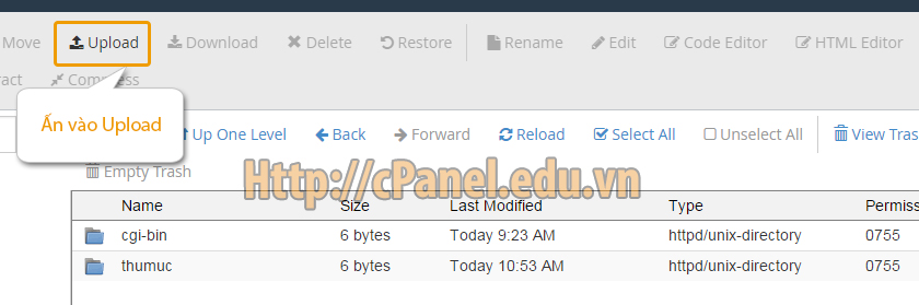 Giao diện File Manager