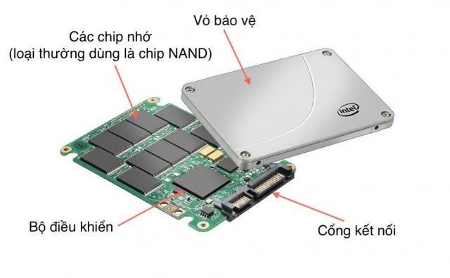 ssd la gi
