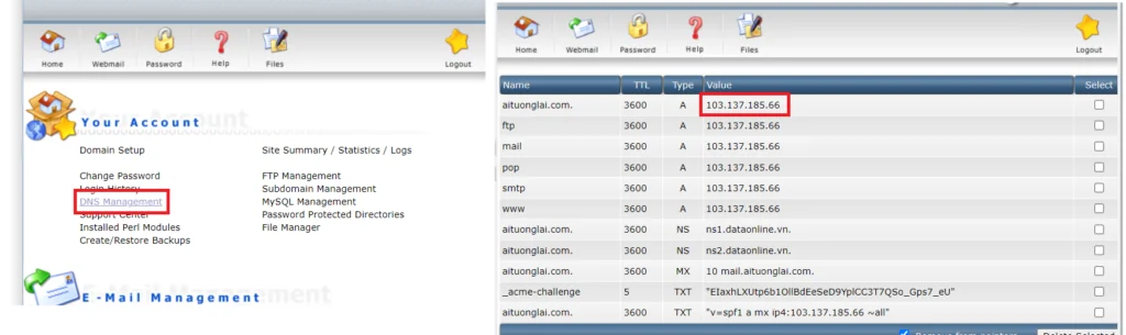 DNS Management