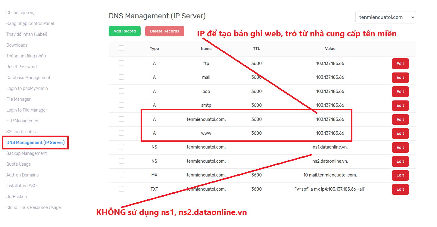 DNS Management IP Server