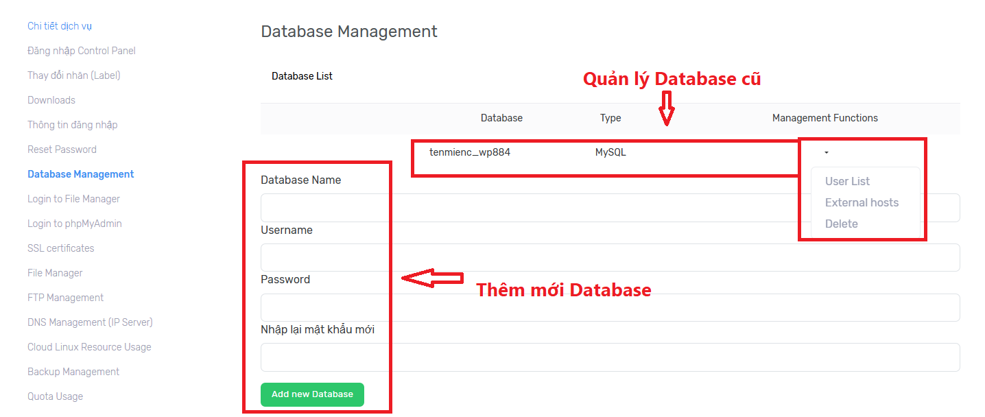 Database Management