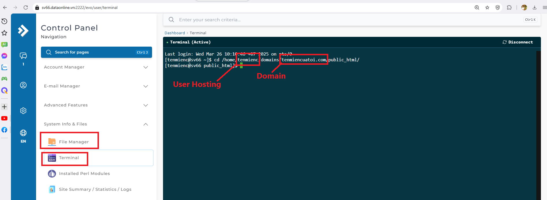 Hướng Dẫn Triển Khai Node.js Trên Hosting DirectAdmin | Hosting Miễn phí / Trả phí tại DataOnline 3 Terminal SSH