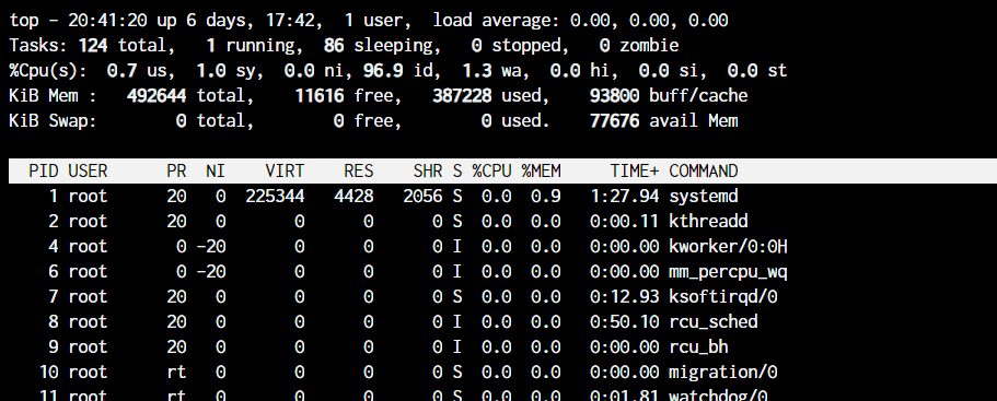 top command output
