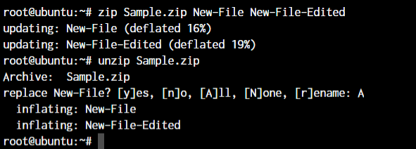zip unzip commands