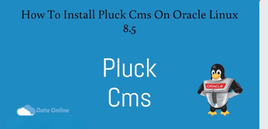 pluck cms phang flat file cuc ky nho gon va de su dung cho nguoi moi 1